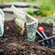 money planted in the soil